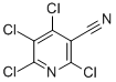 2,4,5,6-TETRACHLORO-NICOTINONITRILE CAS#: 17824-82-7