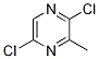 2,5-DICHLORO-3-METHYLPYRAZINE CAS#: 107378-41-6
