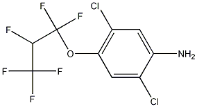 2,5-Dichloro-4-(1,1,2,3,3,3-hexafluoropropoxy)benzenamine CAS#: 103015-84-5