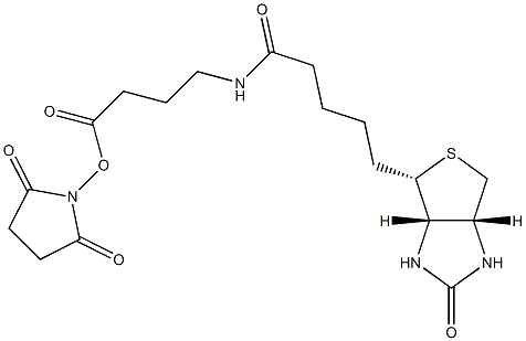 2,5-Dioxopyrrolidin-1-yl 4-(5-((3aS,4S,6aR)-2-oxohexahydro-1H-thieno[3,4-d]iMidazol-4-yl)pentanaMido)butanoate CAS#: 258289-54-2