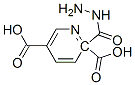 2,5-Pyridinedicarboxylicacid,2-hydrazide(8CI) CAS#: 17874-77-0