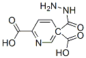 2,5-Pyridinedicarboxylicacid,5-hydrazide(8CI) CAS#: 17874-31-6