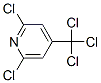 2,6-DICHLORO-4-(TRICHLOROMETHYL)PYRIDINE CAS#: 22652-14-8