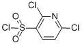2,6-DICHLORO-PYRIDINE-3-SULFONYL CHLORIDE CAS#: 239810-43-6