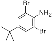 2,6-Dibromo-4-tert-butylaniline CAS#: 10546-67-5
