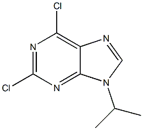 2,6-dichloro-9-(1-methylethyl)-9H-purine CAS#: 203436-45-7