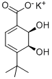(2R,3S)-1-CARBOXY-4-TERT-BUTYL-2,3-DIHYDROXYCYCLOHEXA-4,6-DIENE, POTASSIUM SALT CAS#: 205639-92-5