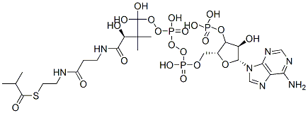 [(2R,3S,4R,5R)-5-(6-aminopurin-9-yl)-4-hydroxy-2-[[hydroxy-[hydroxy-[(3R)-3-hydroxy-2,2-dimethyl-3-[2-[2-(2-methylpropanoylsulfanyl)ethylcarbamoyl]ethylcarbamoyl]propoxy]phosphoryl]oxy-phosphoryl]oxymethyl]oxolan-3-yl]oxyphosphonic acid CAS#: 15621-60-0