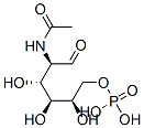 [(2R,3S,4R,5R)-5-acetamido-2,3,4-trihydroxy-6-oxo-hexoxy]phosphonic acid CAS#: 1746-32-3