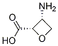 (2S, 3R)-3-amino-2-oxetanecarboxylic acid CAS#: 108865-78-7