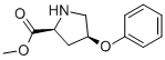 (2S,4S)-4-PHENOXY-PYRROLIDINE-2-CARBOXYLIC ACID METHYL ESTER CAS#: 113949-37-4