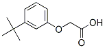 [3-(1,1-dimethylethyl)phenoxy]acetic acid CAS#: 1878-55-3