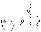 3-[(2-ETHOXYPHENOXY)METHYL]PIPERIDINE CAS#: 104778-54-3