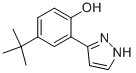 3-(2-HYDROXY-5-TERT-BUTYLPHENYL)PYRAZOLE CAS#: 288844-49-5