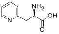 3-(2-Pyridyl)-D-alanine CAS#: 37535-52-7
