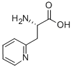 3-(2-Pyridyl)-L-alanine CAS#: 37535-51-6