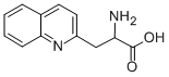 3-(2-Quinolyl)-DL-alanine CAS#: 123761-12-6