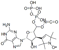 3'-(2,2,5,5-tetramethyl-3-pyrroline-1-oxyl-3-carbonyl)amino-3'-deoxyguanosine 5'-diphosphate CAS#: 105802-04-8