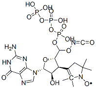 3'-(2,2,5,5-tetramethylpyrroline-1-oxyl-3-carbonyl)amino-3'-deoxyguanosine 5'-triphosphate CAS#: 105822-89-7
