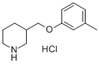 3-[(3-METHYLPHENOXY)METHYL]PIPERIDINEHYDROCHLORIDE CAS#: 28569-13-3