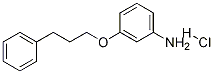 [3-(3-Phenylpropoxy)phenyl]amine hydrochloride CAS#: 17399-25-6