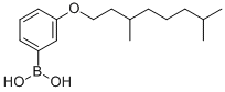 3-(3,7-Dimethyloctyloxy)benzeneboronic acid CAS#: 209347-66-0