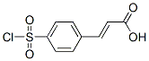 3-(4-CHLOROSULFONYL-PHENYL)-ACRYLIC ACID CAS#: 17641-30-4