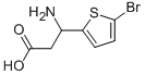 3-AMINO-3-(5-BROMO-THIOPHEN-2-YL)-PROPIONIC ACID CAS#: 204135-66-0
