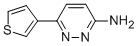 3-AMINO-6-(THIOPHEN-3-YL)PYRIDAZINE CAS#: 105538-02-1