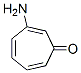3-Aminotropone CAS#: 19617-09-5