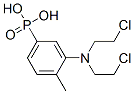[3-[Bis(2-chloroethyl)amino]-4-methylphenyl]phosphonic acid CAS#: 19768-76-4