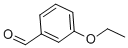 3-Ethoxybenzaldehyde CAS#: 22924-15-8