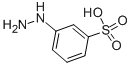 3-HYDRAZINO BENZENESULFONIC ACID CAS#: 138-30-7