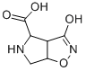 3-HYDROXY-4,5,6,6A-TETRAHYDRO-3AH-PYRROLO[3,4-D]ISOXAZOLE-4-CARBOXYLIC ACID CAS#: 227619-64-9