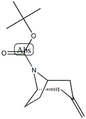 3-Methylene-8-Boc-8-Azabicyclo[3.2.1]Octane CAS#: 273207-57-1