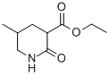 3-PIPERIDINECARBOXYLIC ACID, 5-METHYL-2-OXO-, ETHYL ESTER CAS#: 102943-16-8