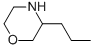 3-PROPYLMORPHOLINE CAS#: 19856-81-6