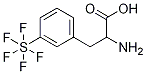 3-(Pentafluorothio)-DL-phenylalanine, 97% CAS#:
