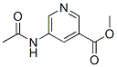 3-Pyridinecarboxylicacid,5-(acetylamino)-,methylester(9CI) CAS#: 109737-31-7