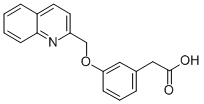 [3-(QUINOLIN-2-YLMETHOXY)-PHENYL]-ACETIC ACID CAS#: 104325-55-5