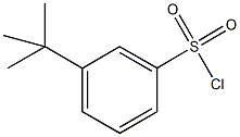 3-TERT-BUTYL BENZENESULFONYL CHLORIDE CAS#: 2905-26-2