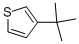 3-TERT-BUTYLTHIOPHENE CAS#: 1689-79-8