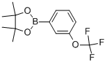 3-(TRIFLUOROMETHOXY)PHENYLBORONIC ACID, PINACOL ESTER CAS#: 262376-31-8