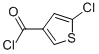 3-Thiophenecarbonyl chloride, 5-chloro- (9CI) CAS#: 113471-08-2