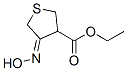 3-Thiophenecarboxylicacid,tetrahydro-4-(hydroxyimino)-,ethylester(9CI) CAS#: 224449-43-8