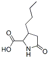 3-butyl-5-oxo-pyrrolidine-2-carboxylic acid CAS#: 2446-09-5