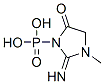 3-phosphono-2-imino-1-methyl-4-oxoimidazolidine CAS#: 14307-18-7