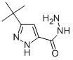 3-(tert-Butyl)-1H-pyrazole-5-carbohydrazide CAS#: 262292-02-4