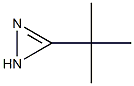 3-tert-Butyldiazirine CAS#: 1630-93-9