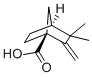 3,3-DIMETHYL-2-METHYLENE-BICYCLO[2.2.1]HEPTANE-1-CARBOXYLIC ACID CAS#: 10309-20-3